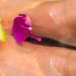 Nagel reparatie